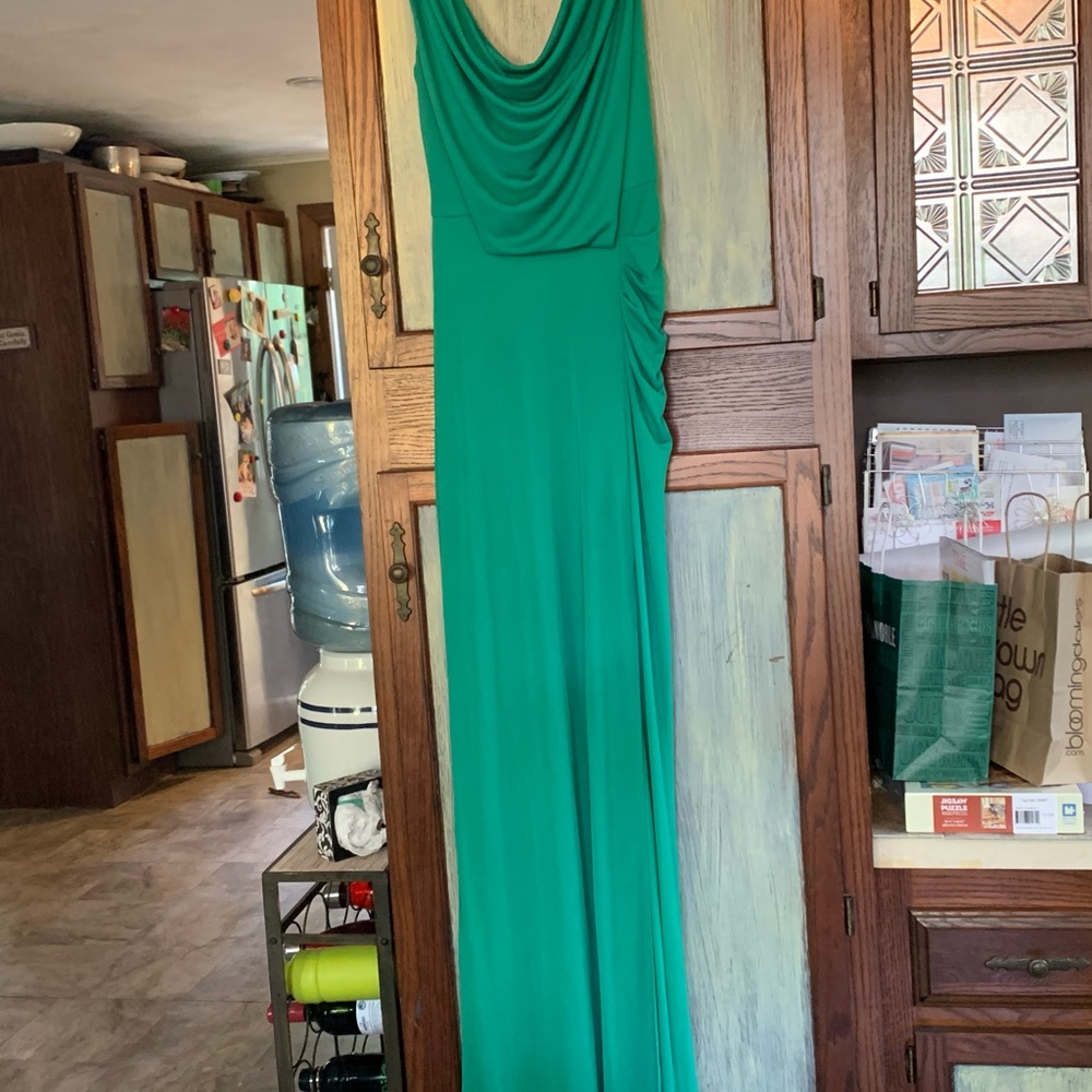 BCBG maxazria green gown